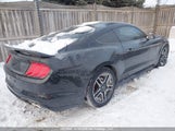Ford Mustang 1FA6P8TH5K5160201 снимка