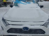 Toyota Rav4 Hybrid Xle 2T3RWRFV1KW019555 fotografie