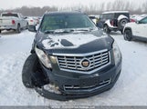 Cadillac Srx Luxury 3GYFNEE3XES605083 fotografie
