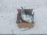 GMC Yukon Sle 1GKS2AE08ER121738 снимка