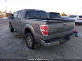 Ford F-150 Xlt 1FTFW1ET3CKE12262 снимка
