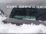 Ford Bronco 1FMDE5CH1MLA66509 photo