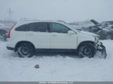 Honda Cr-V Ex 5J6RE3H55BL801352 снимка