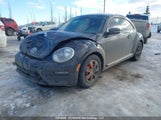 Volkswagen Beetle Se/Sel 3VWJ17AT9HM615638 снимка