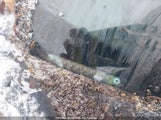 Honda Civic 2HGFG128X7H012128 снимка
