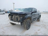 Toyota Tundra Double Cab Limited 5TFJA5DA9PX077579 fotografie