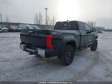 Toyota Tundra Double Cab Limited 5TFJA5DA9PX077579 fotografie