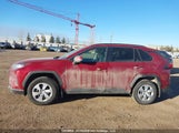 Toyota Rav4 Le 2T3B1RFVXLC124162 снимка