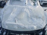 Volkswagen Tiguan Comfortline/Highline/Special Edition WVGJV7AX6GW594381 fotografie