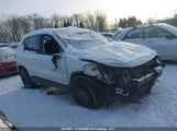 Volkswagen Tiguan Comfortline/Highline/Special Edition WVGJV7AX6GW594381 fotografie