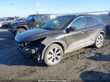 Ford Escape Platinum 1FMCU9JA4SUB24146 снимка