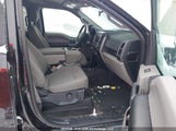 Ford F-150 Xlt 1FTEW1EB7LFA43322 снимка