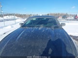 Ford Mustang V6 Premium 1ZVBP8AM7C5241501 снимка