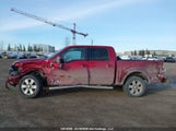 Ford F150 Supercrew 1FTFW1EV5AFD21257 снимка