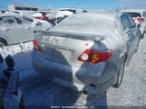 Toyota Corolla 2T1BU4EE1AC344226 снимка