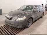 Toyota Camry Se/Le/Xle 4T1BK3EK8BU130274 fotografie