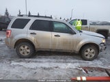 Ford Escape Xlt 1FMCU9DG6BKB05416 снимка