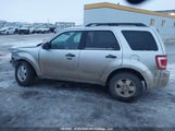Ford Escape Xlt 1FMCU9DG6BKB05416 снимка