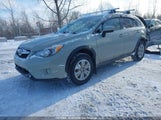 Subaru Xv Crosstrek Limited Package/Sport Package/Touring JF2GPACC1FG304395 fotografie