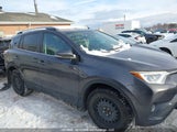 Toyota Rav4 Adventure/Xle 2T3WFREV2JW436900 photo