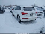 Audi Q5 Premium Hybrid WA1C8DFP1DA056332 снимка