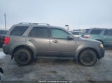 Mazda Tribute Gs V6/Gt V6/Gx V6 4F2CY9GG6BKM00522 fotografie