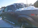 Ford F-150 Xlt 1FTFW1EF8DFD14199 снимка