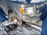 Ford F-150 Xlt 1FTFW1EF8DFD14199 fotografie