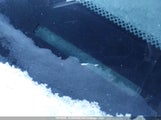 Toyota Tacoma 5TEUX4EN8AZ671913 снимка