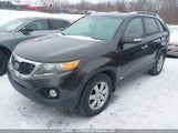 Kia Sorento 5XYKTDA28BG038869 fotografie
