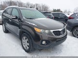 Kia Sorento 5XYKTDA28BG038869 fotografie