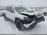 Jeep Cherokee Trailhawk 1C4PJMBX6MD161738 снимка