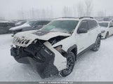 Jeep Cherokee Trailhawk 1C4PJMBX6MD161738 снимка