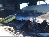 Cadillac Escalade Premium 1GYS4CKJ1GR448154 снимка
