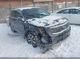 Kia Telluride Sx/Sx Limited/Sx Limited W/Nappa 5XYP5DHC7LG042749 снимка
