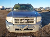 Ford Escape Xlt 1FMCU9D78AKB38397 fotografie