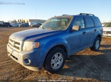 Ford Escape Xlt 1FMCU9D78AKB38397 fotografie