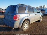 Ford Escape Xlt 1FMCU9D78AKB38397 fotografie