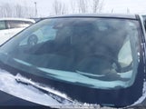 Nissan Qashqai S/Sv JN1BJ1CP3KW229389 снимка
