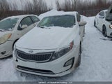 Kia Optima KNAGM4AD6G5095721 снимка