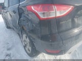 Ford Escape 1FMCU0G92DUA88744 снимка
