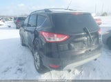 Ford Escape 1FMCU0G92DUA88744 снимка