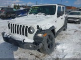 Jeep Wrangler Sport 1C4HJXDN6PW559719 fotografie