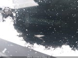 Kia Forte Lx/Lx+ 3KPFL4A79JE207158 снимка