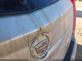 Cadillac Srx Performance Collection 3GYFNEE39CS521107 photo