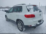 Volkswagen Tiguan Comfortline/Highline/Trendline WVGJV3AX1EW586646 fotografie