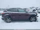 Toyota Rav4 Xle 2T3RFREV1GW529378 снимка