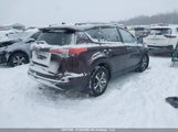 Toyota Rav4 Xle 2T3RFREV1GW529378 снимка