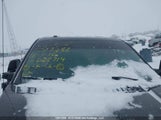 Ford F-150 Xlt 1FTFW1EG3GFD23714 снимка