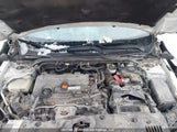 Honda Civic Lx 2HGFC2F56HH011366 снимка